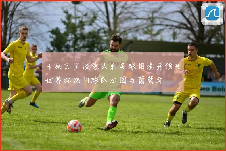 卡纳瓦罗谈意大利足球困境并预测世界杯热门球队法国与葡萄牙